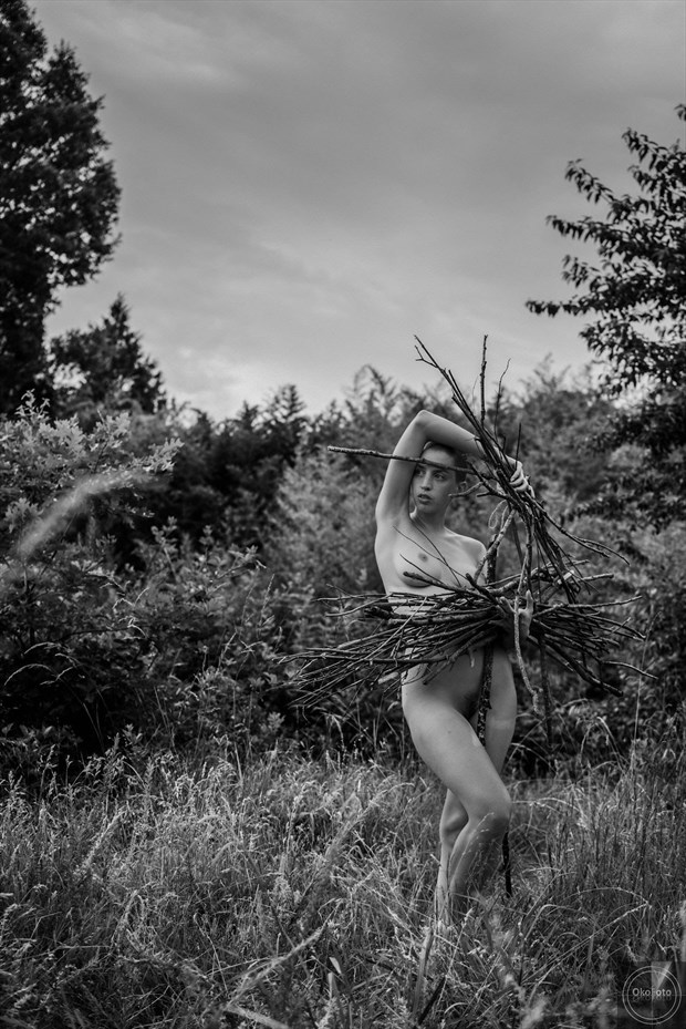 Artistic Nude Nature Artwork by Model Katlin Tucker