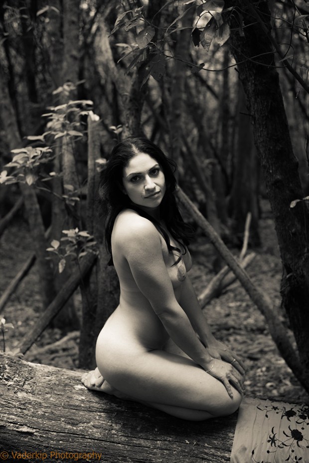Artistic Nude Nature Artwork by Photographer Vaderkip
