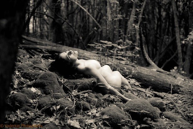 Artistic Nude Nature Artwork by Photographer Vaderkip