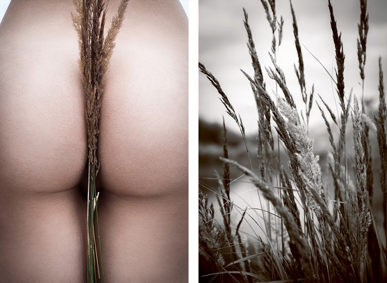 Artistic Nude Nature Artwork by Photographer Vice Virtue