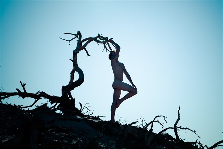 Artistic Nude Nature Photo by Artist April Alston McKay