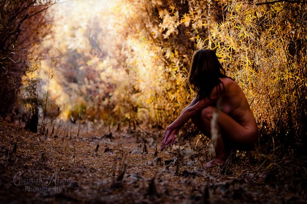 Artistic Nude Nature Photo by Artist Christian Aragon
