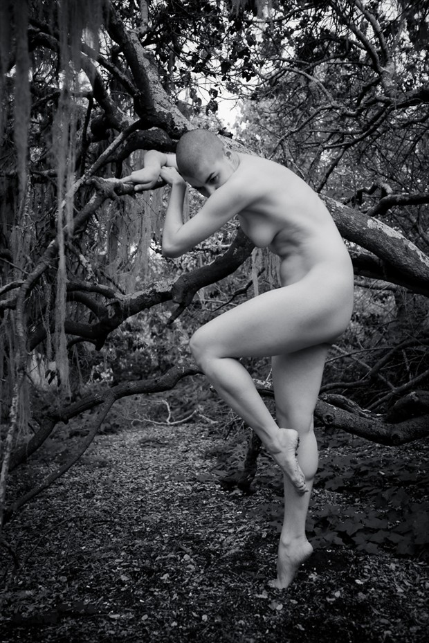 Artistic Nude Nature Photo by Model 000000000