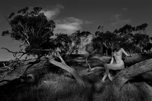 Artistic Nude Nature Photo by Model Amy Heather