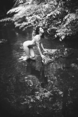 Artistic Nude Nature Photo by Model Amy Marie