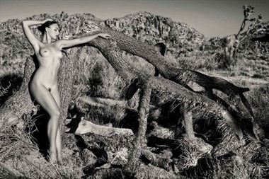 Artistic Nude Nature Photo by Model AnastasiaA