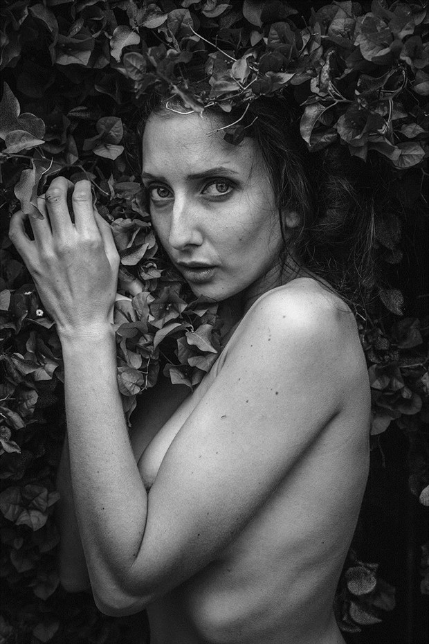 Artistic Nude Nature Photo by Model Anoush A
