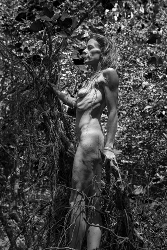 Artistic Nude Nature Photo by Model Hblake