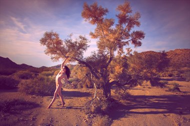 Artistic Nude Nature Photo by Model Keira Grant