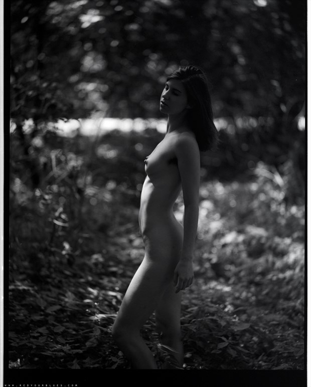 Artistic Nude Nature Photo by Model Kyotocat