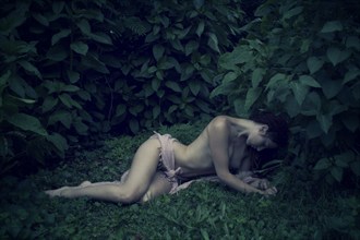 Artistic Nude Nature Photo by Model Laina V