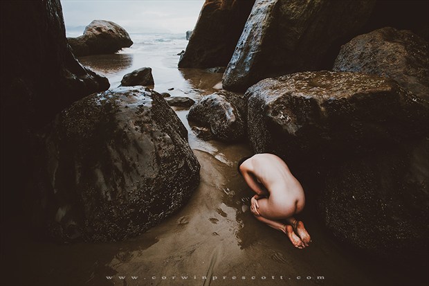 Artistic Nude Nature Photo by Model Nicole Vaunt