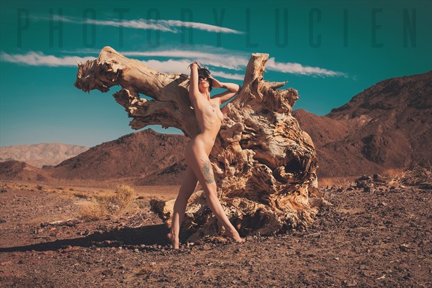 Artistic Nude Nature Photo by Model SeaStar