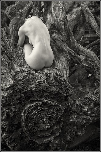 Artistic Nude Nature Photo by Model Sienna Hayes