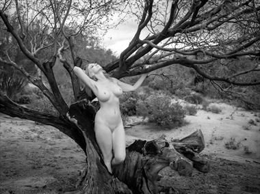 Artistic Nude Nature Photo by Model Sirsdarkstar