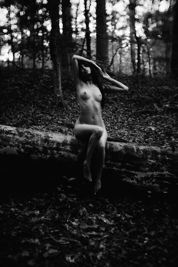 Artistic Nude Nature Photo by Model Sonnie Marie