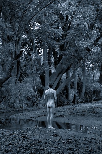 Artistic Nude Nature Photo by Model Teetree