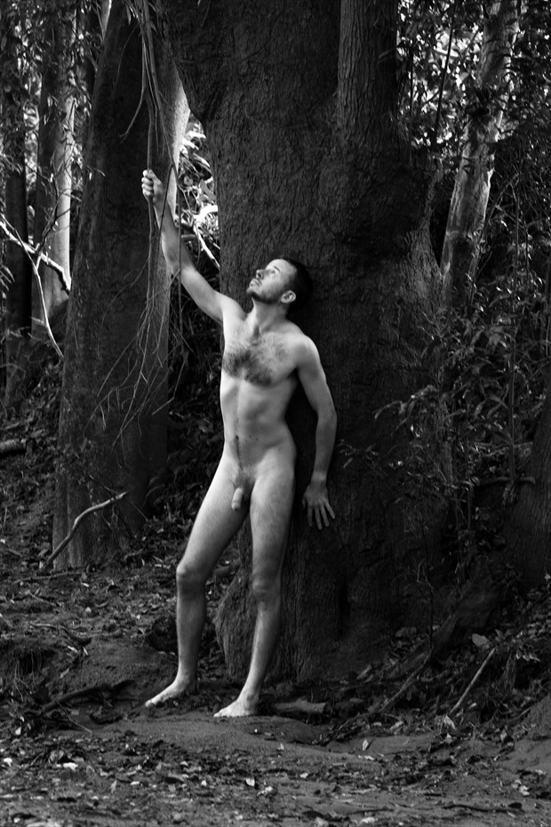 Artistic Nude Nature Photo by Model Teetree