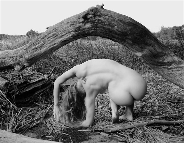 Artistic Nude Nature Photo by Model Ursa Minor