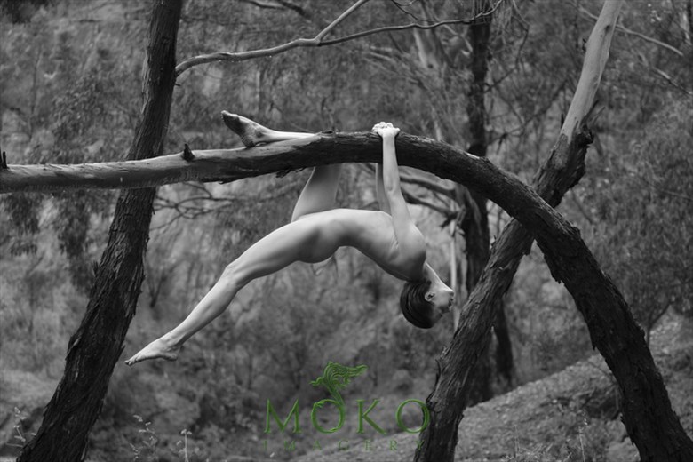 Artistic Nude Nature Photo by Photographer AdamDavidson