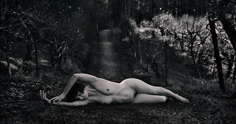 Artistic Nude Nature Photo by Photographer Adrian Holmes.