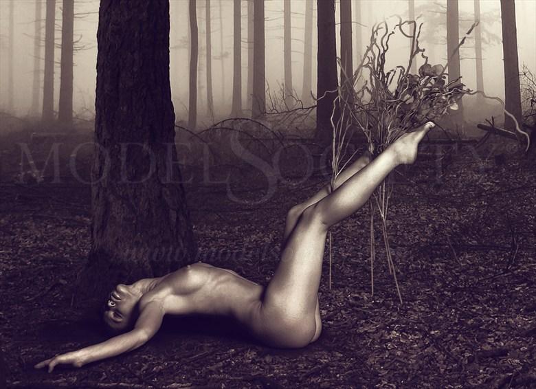 Artistic Nude Nature Photo by Photographer AmyxPhotography