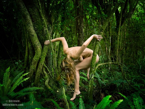 Artistic Nude Nature Photo by Photographer Bill Irwin