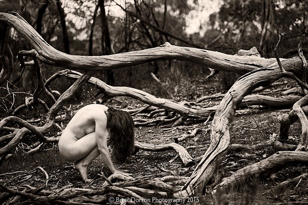Artistic Nude Nature Photo by Photographer Brett Dorron