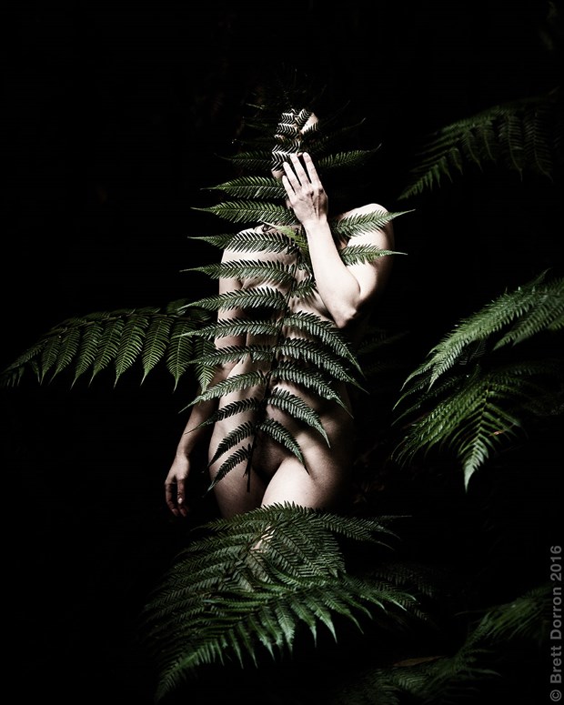Artistic Nude Nature Photo by Photographer Brett Dorron