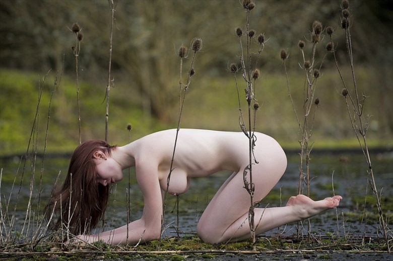 Artistic Nude Nature Photo by Photographer CD3