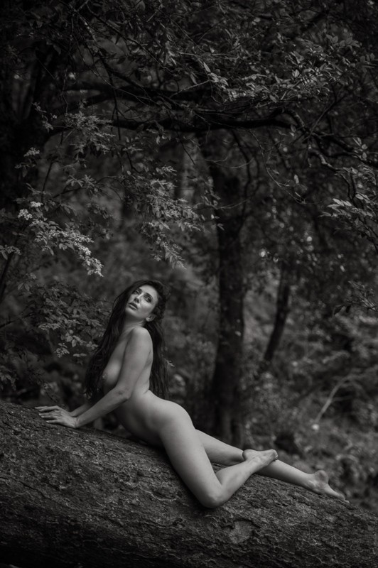 Artistic Nude Nature Photo by Photographer CamAttree