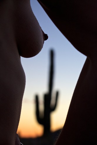 Artistic Nude Nature Photo by Photographer Carpe Photon