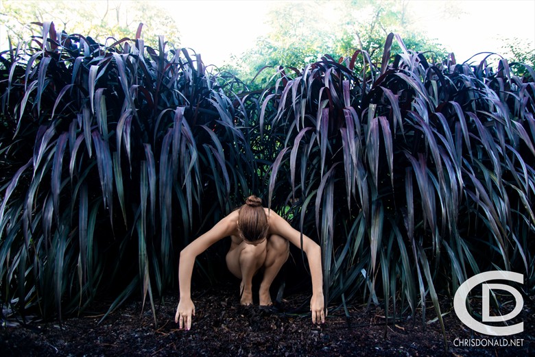 Artistic Nude Nature Photo by Photographer Christopher Donald