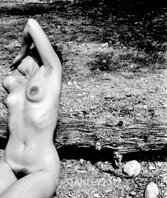 Artistic Nude Nature Photo by Photographer Endless Fascination