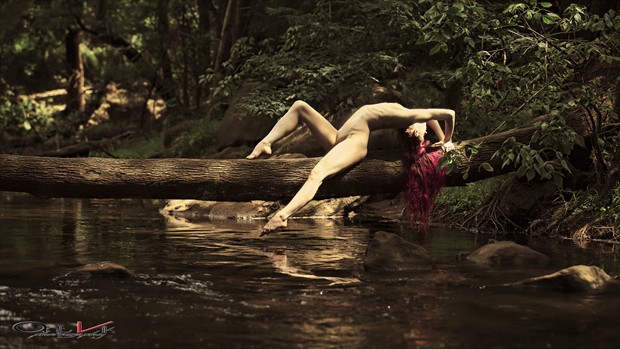 Artistic Nude Nature Photo by Photographer John Anthony