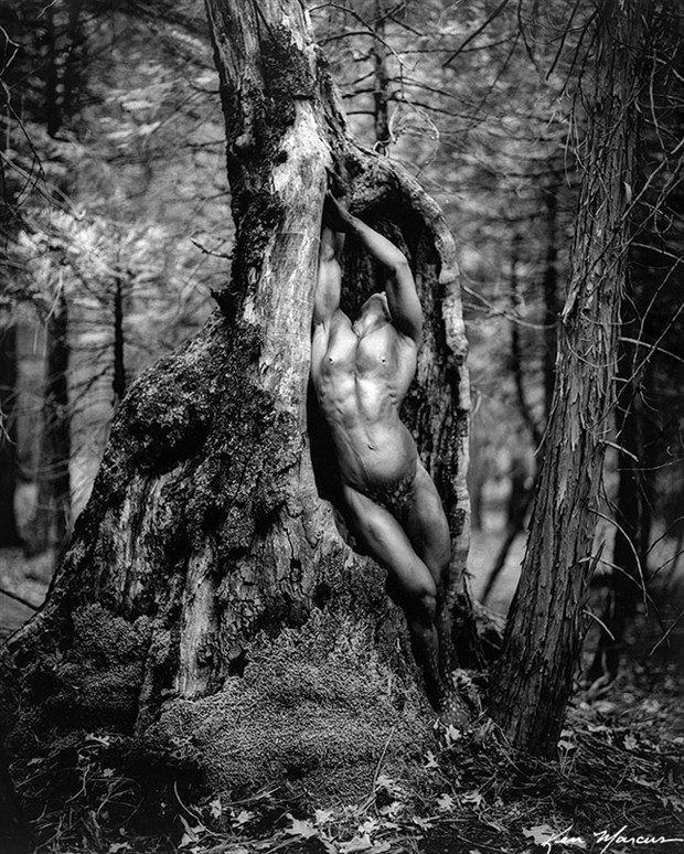 Artistic Nude Nature Photo by Photographer Ken Marcus