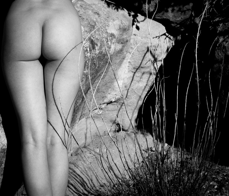 Artistic Nude Nature Photo by Photographer Lonnie Tate