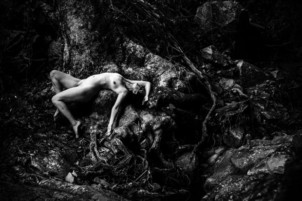 Artistic Nude Nature Photo by Photographer Mr Willmann