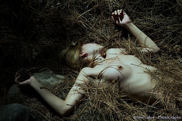 Artistic Nude Nature Photo by Photographer NielG