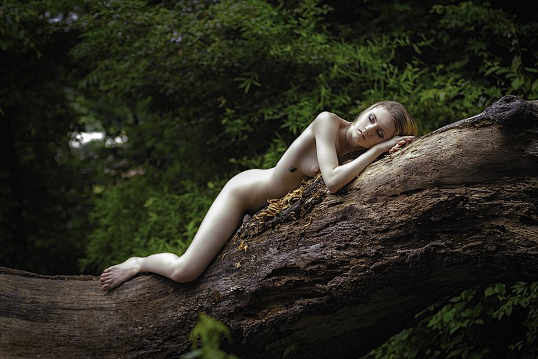 Artistic Nude Nature Photo by Photographer ResolutionOneImaging