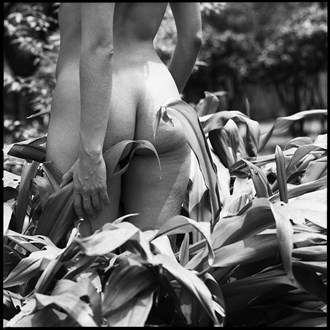 Artistic Nude Nature Photo by Photographer Ricardo J Garibay