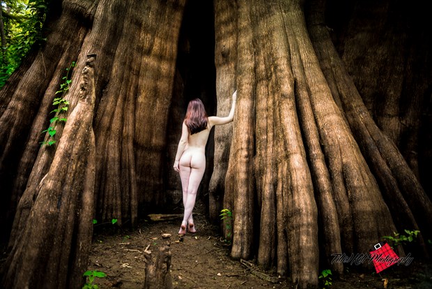 Artistic Nude Nature Photo by Photographer The Artist