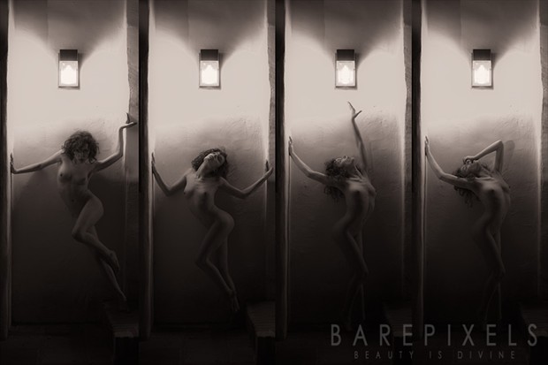 Artistic Nude Nature Photo by Photographer barepixels
