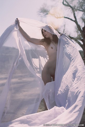 Artistic Nude Nature Photo by Photographer glossyworks