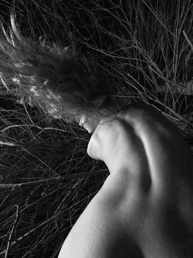 Artistic Nude Nature Photo by Photographer puss_in_boots