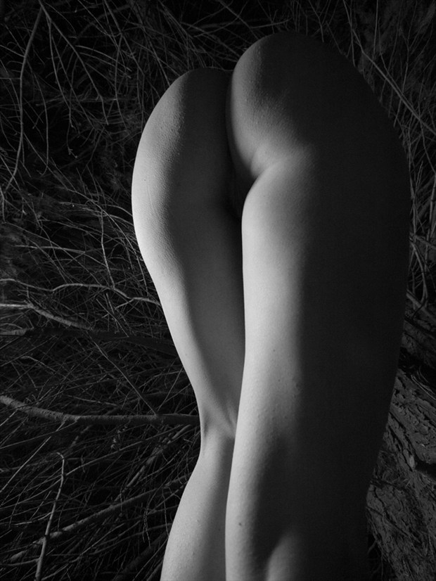 Artistic Nude Nature Photo by Photographer puss_in_boots