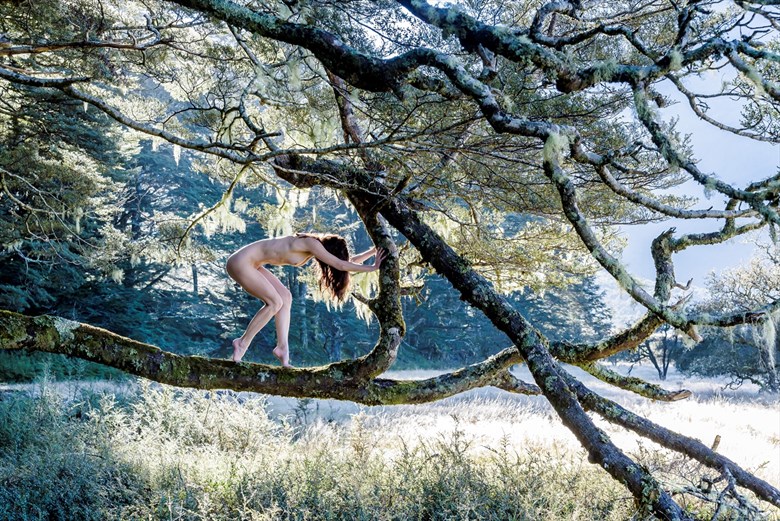 Artistic Nude Nature Photo by Photographer terrymemoryphoto