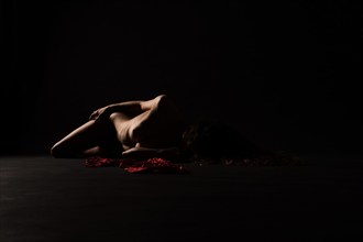 Artistic Nude Photo by Photographer Adrian Michaels