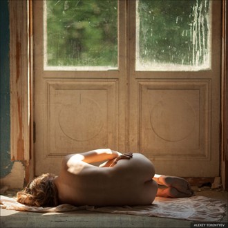 Artistic Nude Photo by Photographer Alexey Terentyev