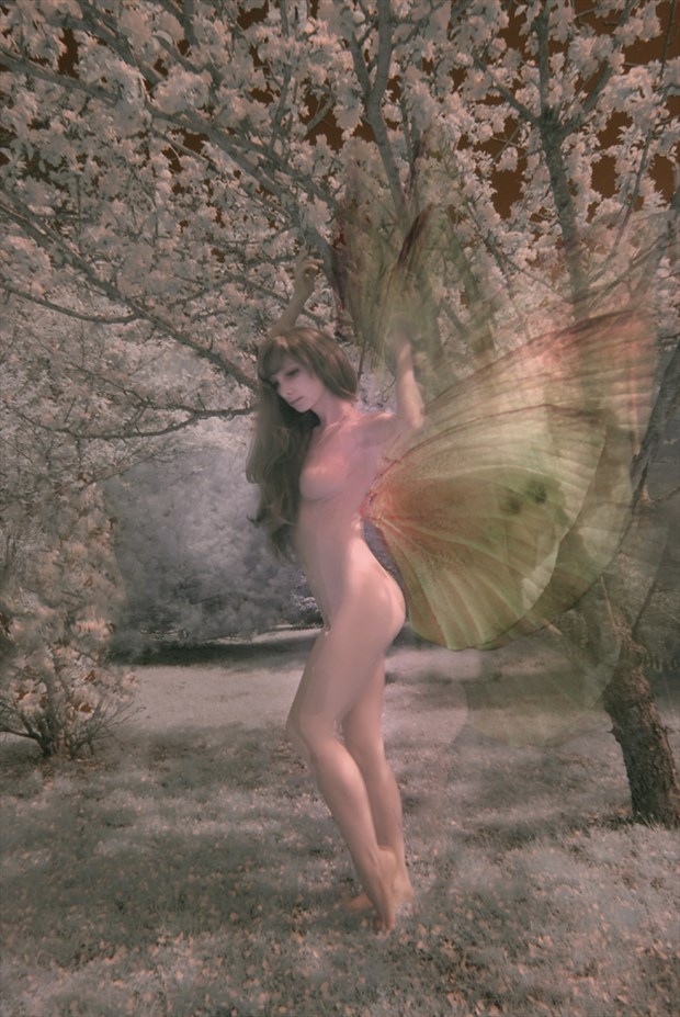 Artistic Nude Photo by Photographer Chiarescuro